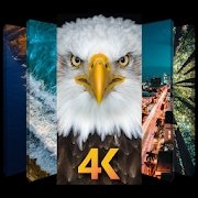 4k高清壁纸app安卓免费版下载 v1.0.6