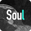 Soul社交软件官方下载 v3.91.0