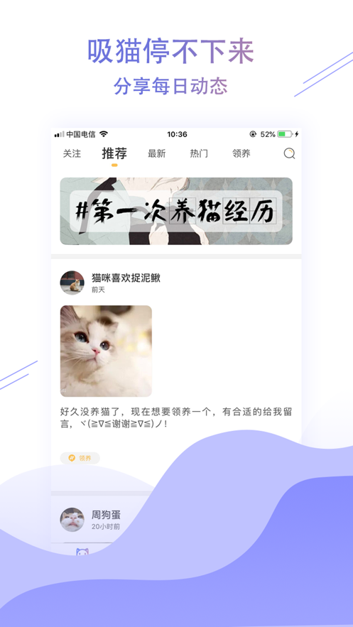 萌翻猫咪社区app官方下载 v1.0.0截图