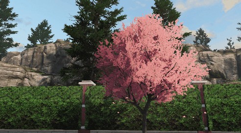 明日之后快乐101樱花树在哪？ 樱花种子与末世的樱花玩法攻略图片8