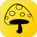 蘑菇钉APP安卓版 3.4.1