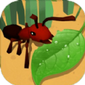 蚂蚁进化3d蜜蜂boss游戏下载安卓版