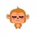小猴子斗图app最新版