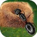 蚂蚁地下蚁国手机版下载2022