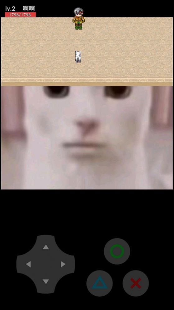 猫咪惊魂游戏下载手机版 v0.10截图