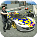 美国警察巡逻模拟器游戏安卓版（Real Car Driving Police Games）